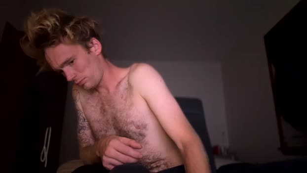 bowser2334 15-10-2024 video toy