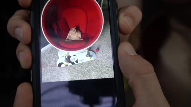 sydaffect 15-10-2024 video Recorded