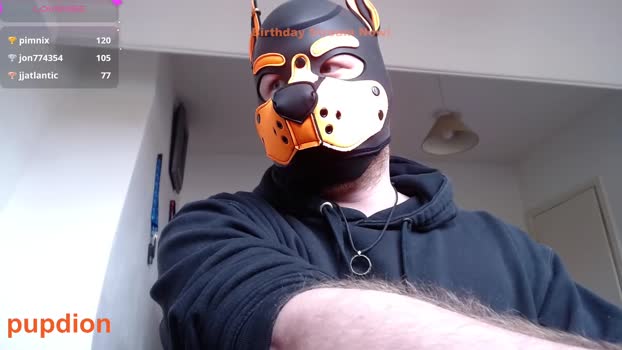 pupdion 19-10-2024 video Topless