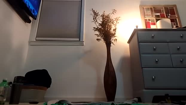 handydick7373 22-10-2024 video handsome