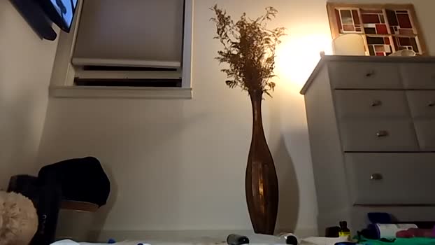 handydick7373 23-10-2024 video jerkoff