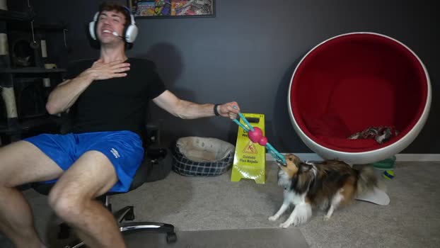 sydaffect 28-10-2024 video big