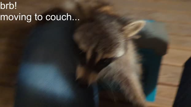 rndmzd 28-10-2024 video big