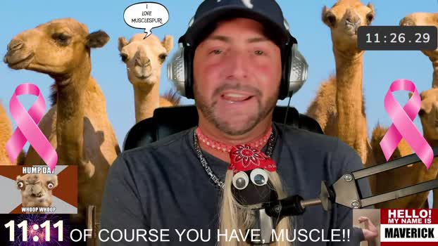 socialmaverick 31-10-2024 video fuckass