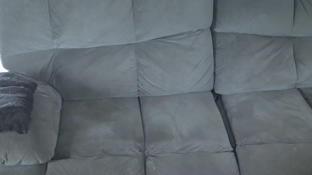 nezzey 02-11-2024 video nasty