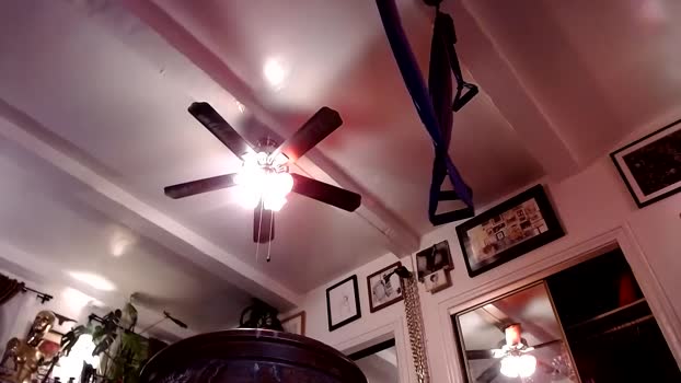 sirbub 05-11-2024 video fuckass