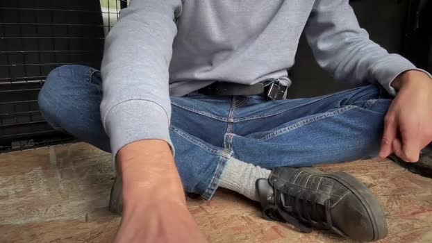 sondages 09-11-2024 video jackoff