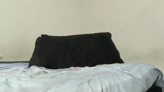 wilder_grey 08-11-2024 video fuckface