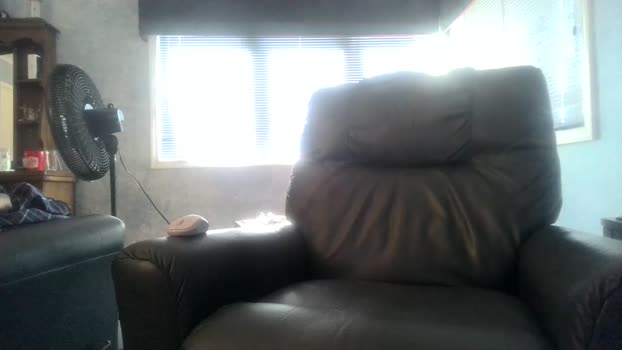 mckhero 08-11-2024 video jerkoff