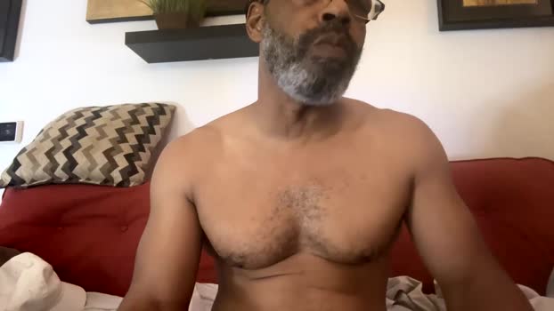 activebat 11-11-2024 video amateur