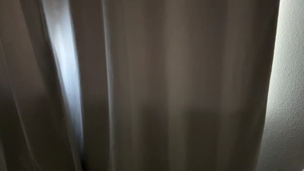 lexnorth 11-11-2024 video play