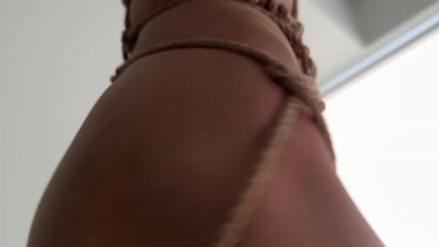 hadley19 12-11-2024 video toy