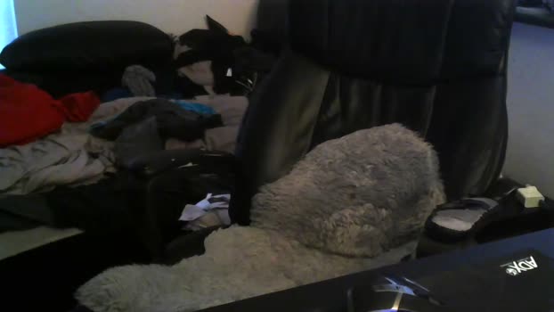 jonaskrog 13-11-2024 video yummy