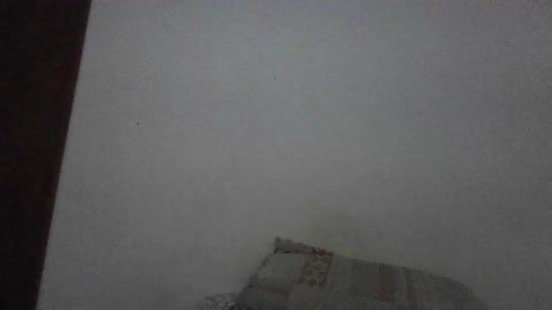 keny06 12-11-2024 video analtoy