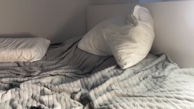 nfeibk 14-11-2024 video harddick