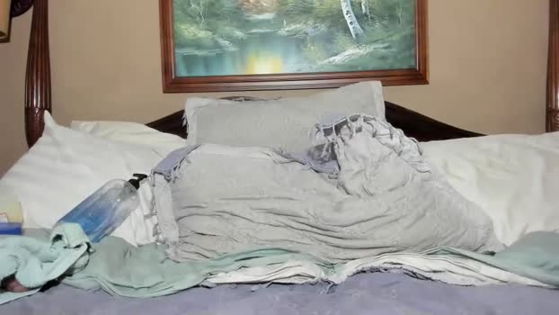 willyt98 15-11-2024 video sexybody