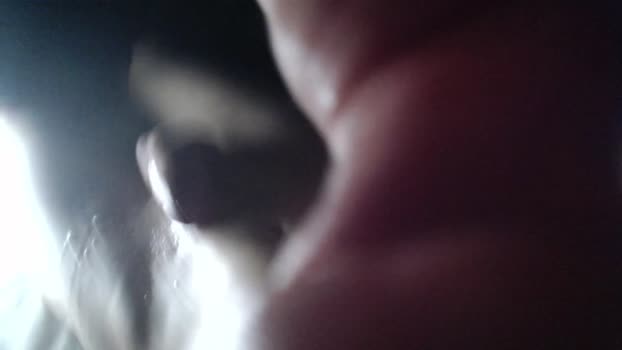 dominantalex182 16-11-2024 video toys