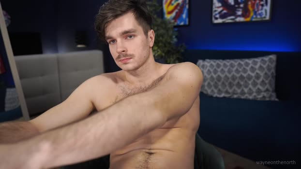 waynenorth 16-11-2024 video Download