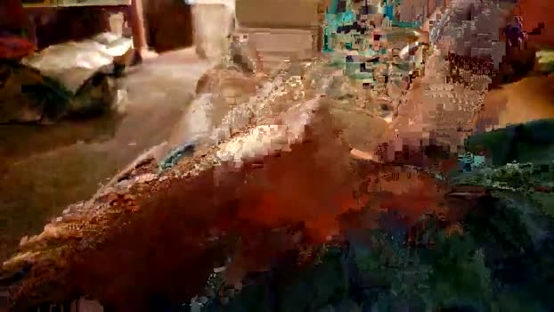 shortbutdicktall1991 18-11-2024 video gag