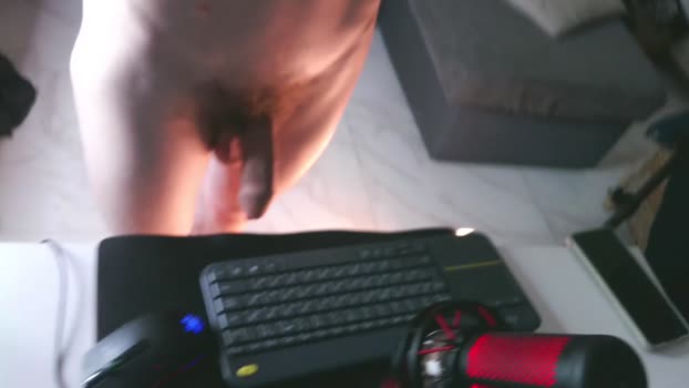 viksons 17-11-2024 video big