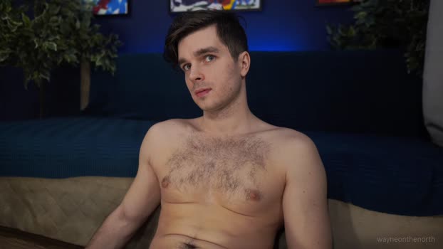 waynenorth 17-11-2024 video analtoy