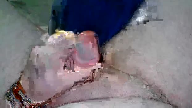 eristoff1989 18-11-2024 video gag