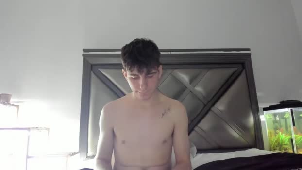 gayndepressed 19-11-2024 video prettyface