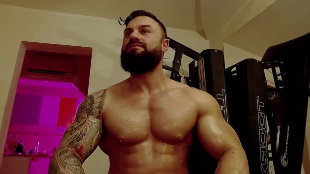 adonis_msc 23-11-2024 video nasty