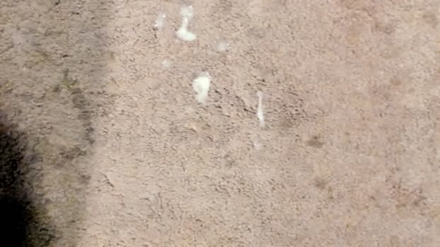 urnewdaddy90 25-11-2024 video analsex