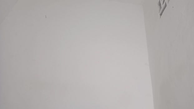 alotofcream 27-11-2024 video horny