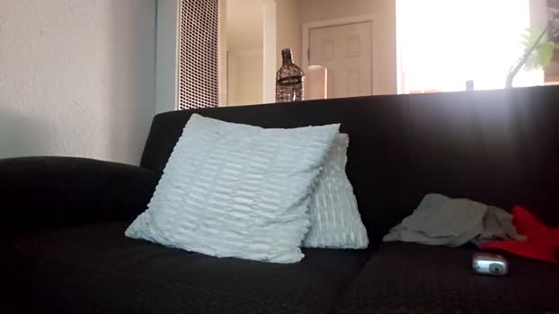 bluecollarfck 27-11-2024 video sex