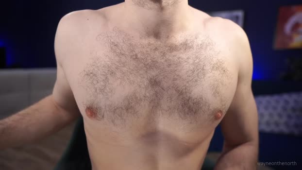 waynenorth 28-11-2024 video fuck