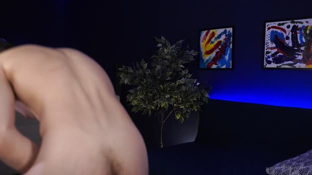 waynenorth 30-11-2024 video legs