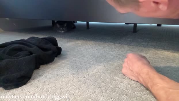 brodybiggs 02-12-2024 video deep