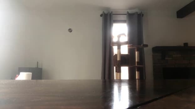 deviantill 05-12-2024 video legs