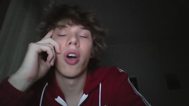 harlova 07-12-2024 video toys