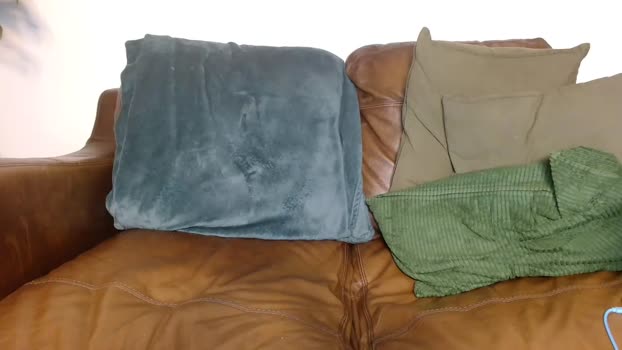 camdoattitude 12-12-2024 video hardcock