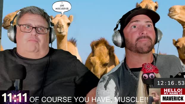 socialmaverick 13-12-2024 video bicurious