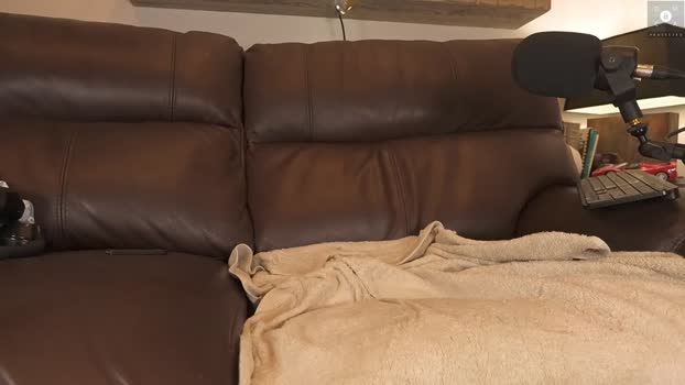 rndmzd 15-12-2024 video spanking