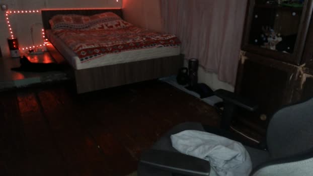 _purrari 19-12-2024 video suckshow