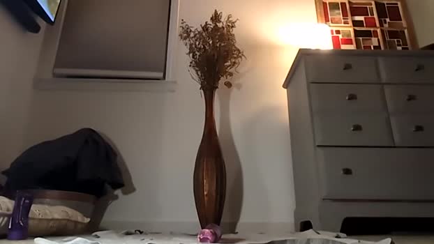 handydick7373 23-12-2024 video sexy