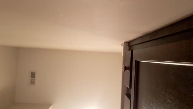 patrick247288 23-12-2024 video toys