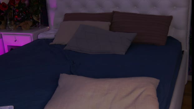 william_ross 23-12-2024 video analtoy