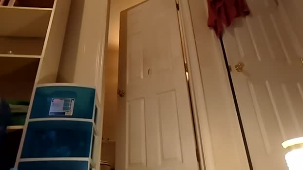 handydick7373 24-12-2024 video fuckface