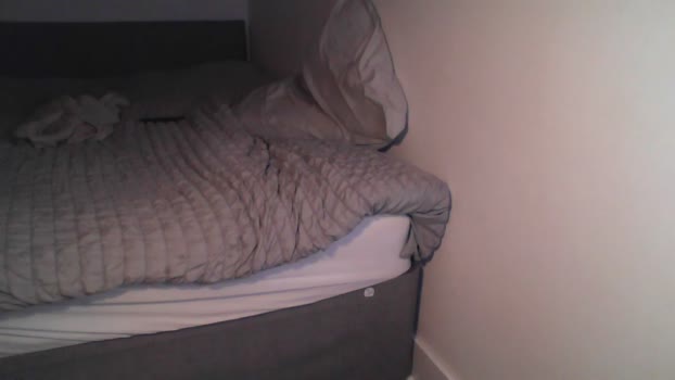 shaggytopple 23-12-2024 video nasty