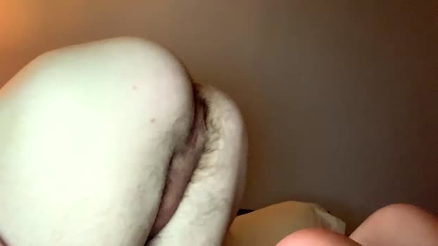 hottiethotitie 25-12-2024 video sexymale