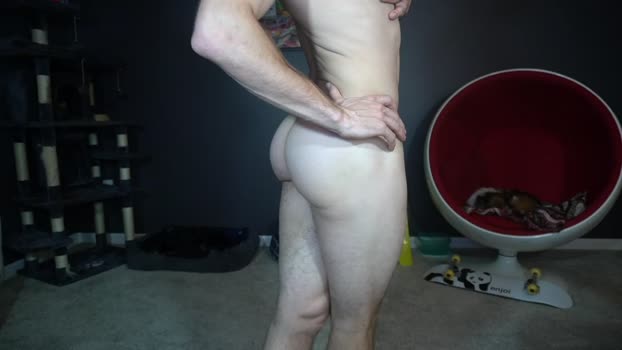 sydaffect 27-12-2024 video lovense