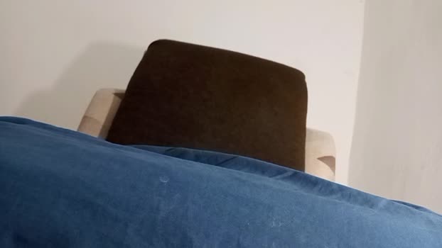 alotofcream 28-12-2024 video ass