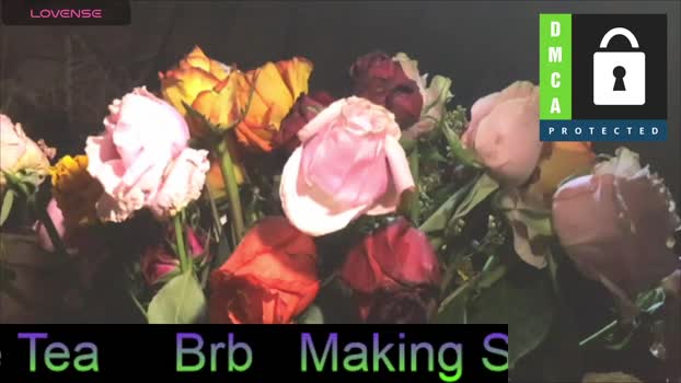 diamondxcrusher 30-12-2024 video jerking