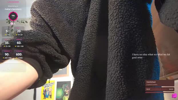 cokia_ 02-01-2025 video toy